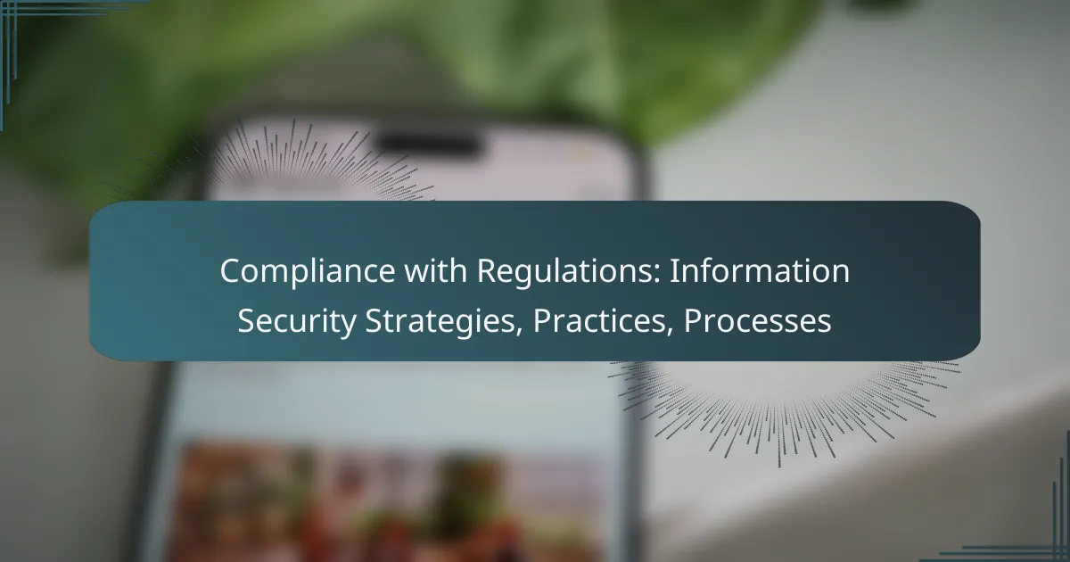 Compliance with Regulations: Information Security Strategies, Practices, Processes