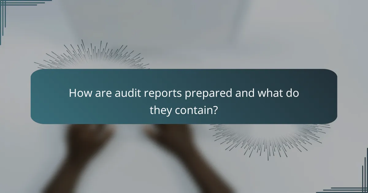 How are audit reports prepared and what do they contain?