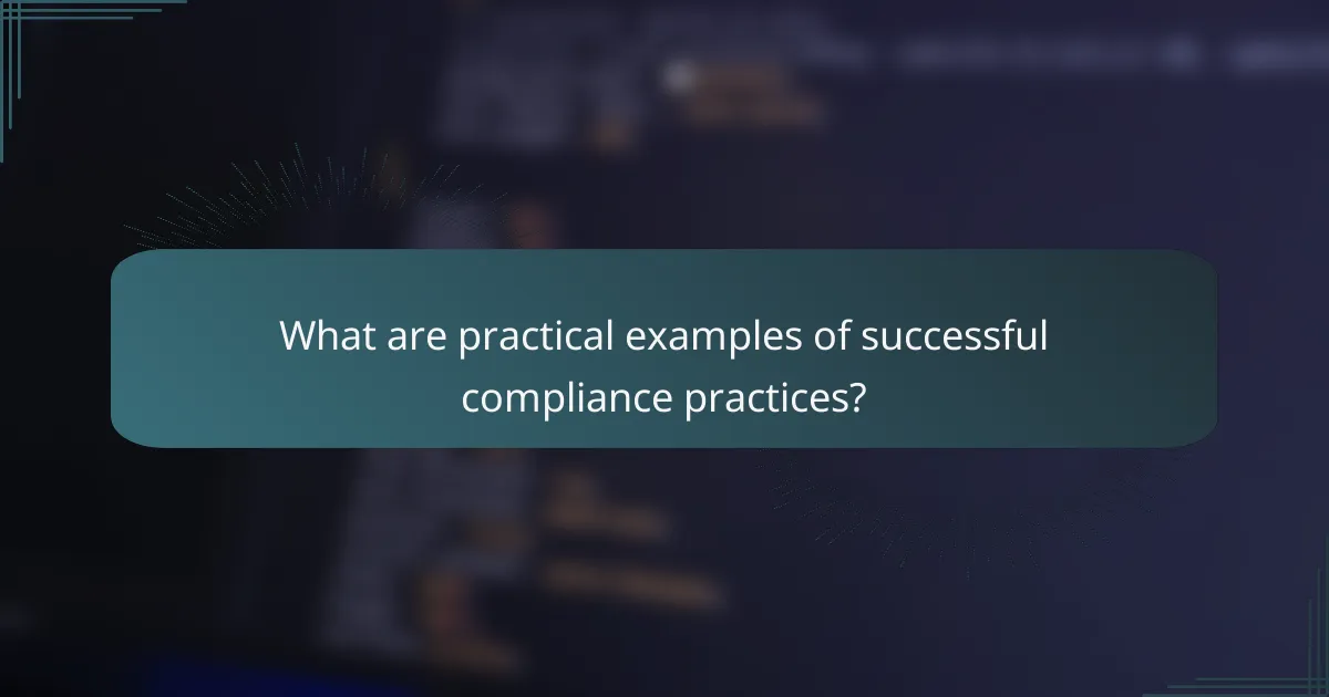 What are practical examples of successful compliance practices?