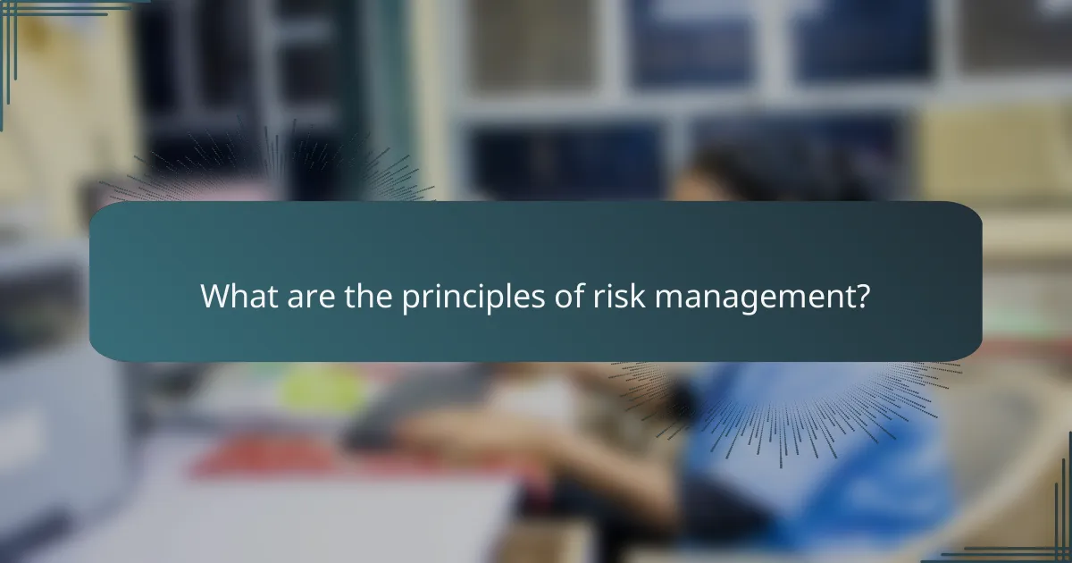What are the principles of risk management?